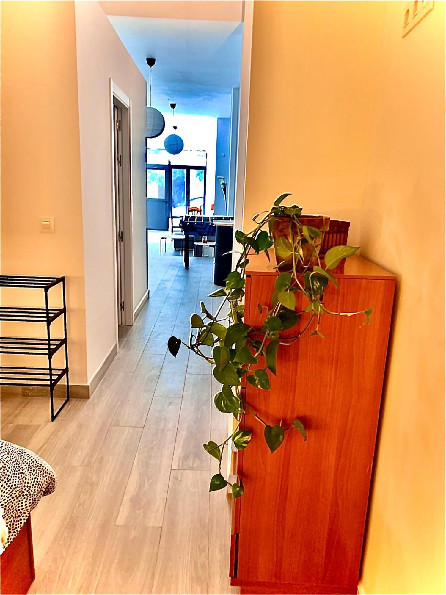 Violeta Loft A With Chill Out Terrace Sevilla ภายนอก รูปภาพ
